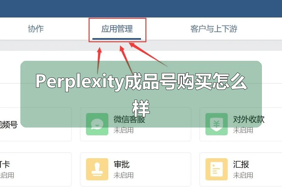 Perplexity成品号购买怎么样